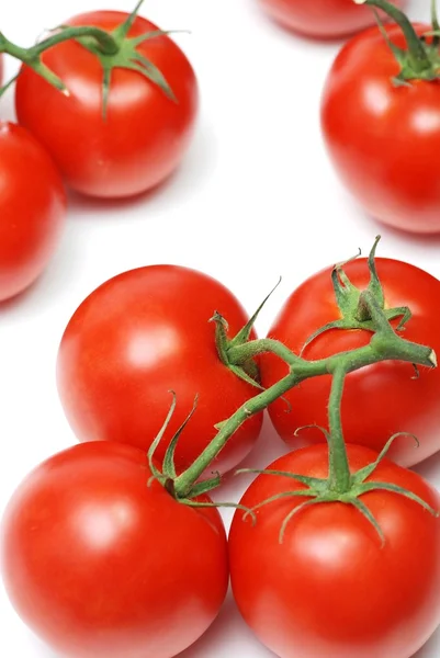 Wzór Białym Tle Świeże Pomidory — Zdjęcie stockowe