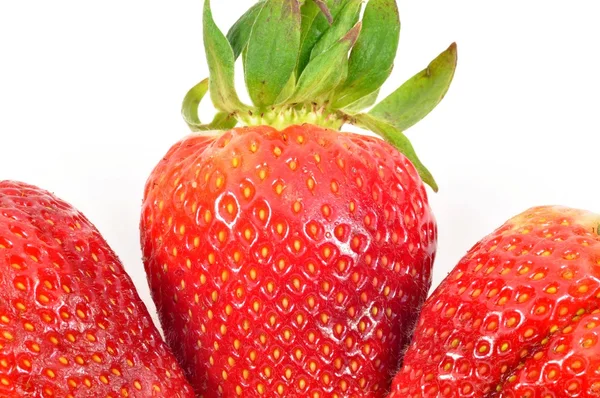 Verse aardbeien op witte achtergrond — Stockfoto