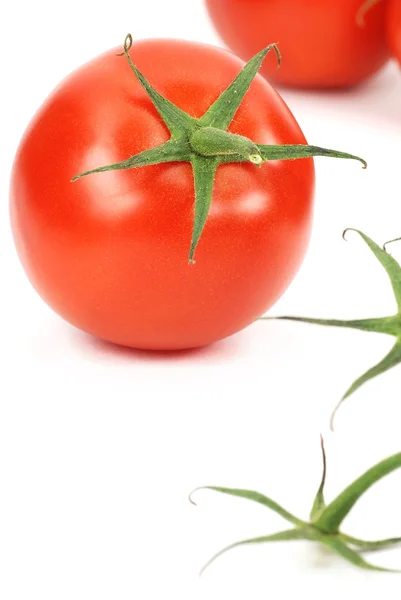 Färska tomater mönster — Stockfoto
