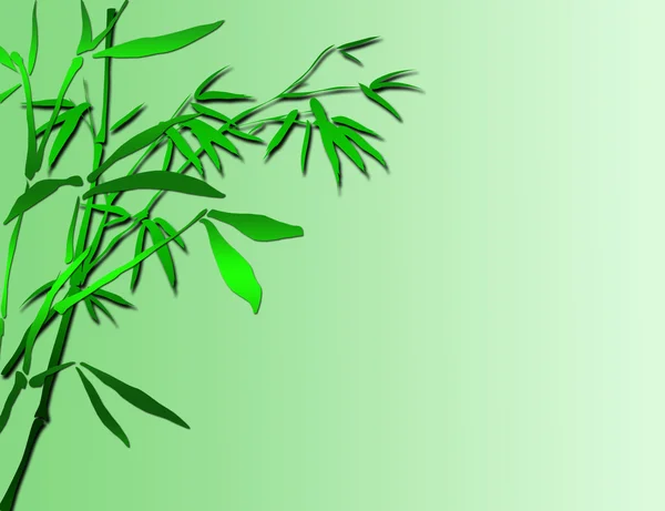 Lucky Bamboo Achtergrond — Stockfoto