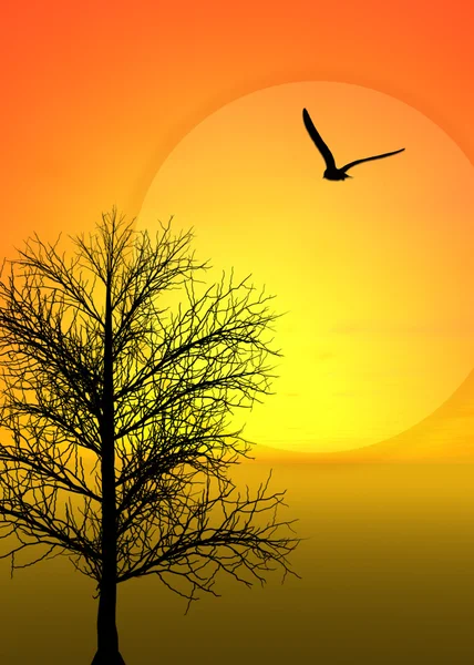 Ağaç Güzel Günbatımı Manzaralı Kuş — Stok fotoğraf