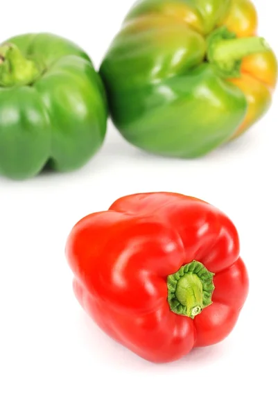 Färgglada peppar mönster — Stockfoto