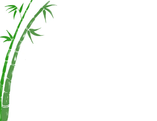 Sorte Fundo Bambu — Fotografia de Stock