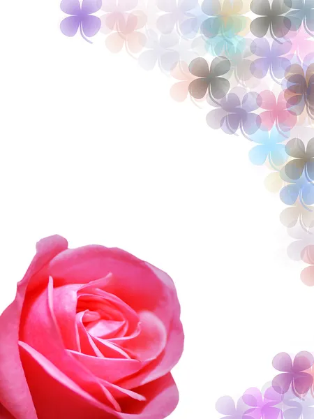 Rose en gelukkige blad achtergrond — Stockfoto