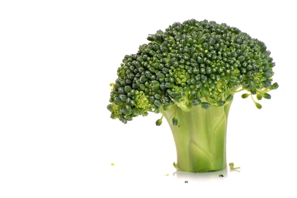Beyaz Arkaplanda Izole Brokoli — Stok fotoğraf