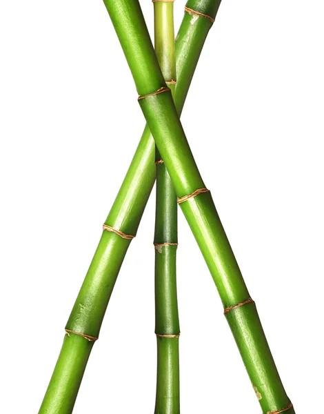 三角竹茎在白色背景上 — 图库照片