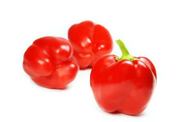 Κόκκινες πιπεριές απομονωμένες σε λευκό — Φωτογραφία Αρχείου