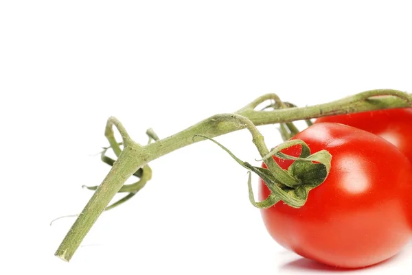 Isolierte Frische Tomaten — Stockfoto