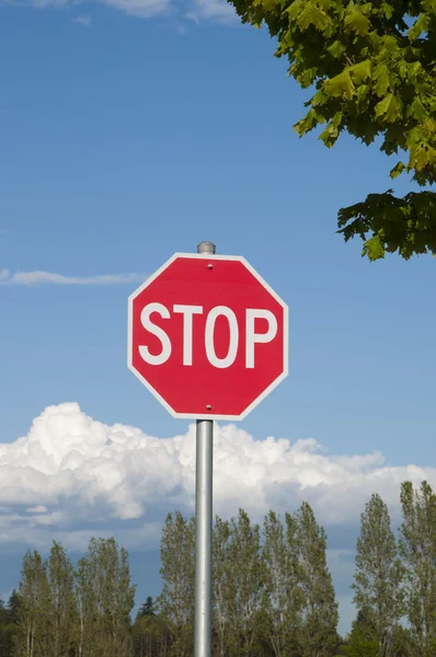 Red Stop Warning Road Sign — Stock Photo, Image