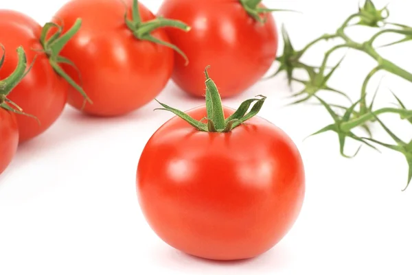 自然新鲜番茄 — 图库照片