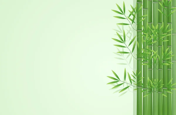 Abstrakt bambu bakgrund — Stockfoto