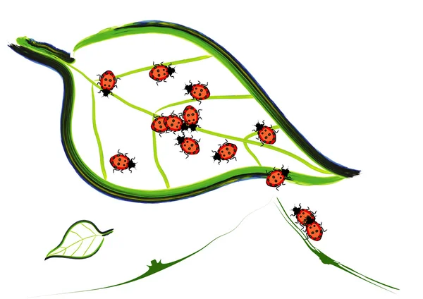 Абстрактный жук на листе — стоковое фото