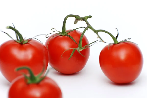 Naturen Färska Tomater — Stockfoto