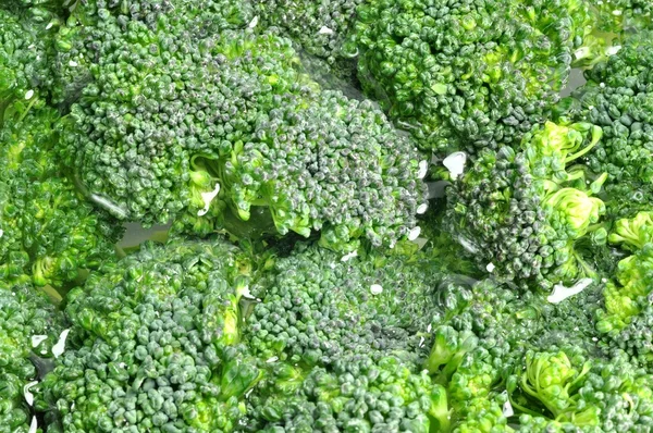 Fresh Broccoli Background — Stock Photo, Image