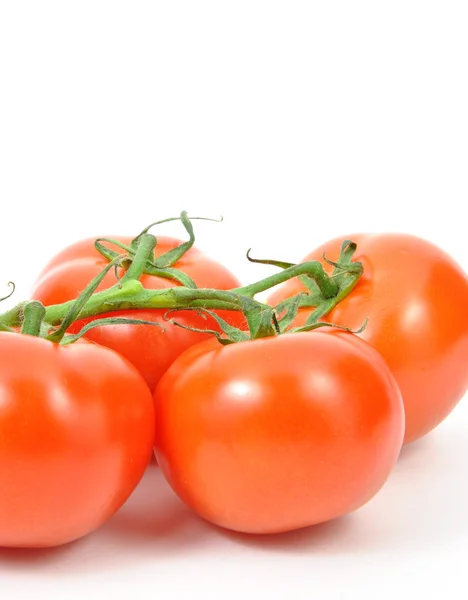 Doğa taze domates — Stok fotoğraf