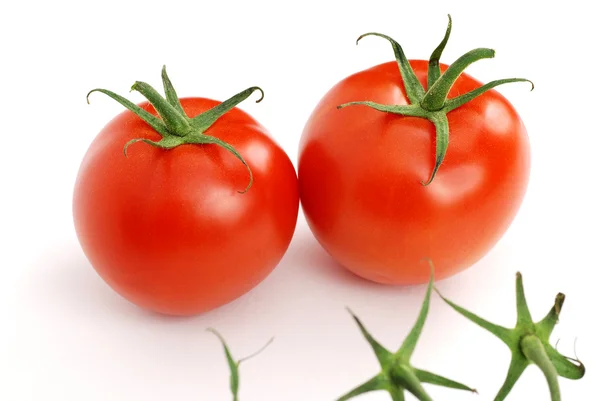Fresh nature tomatoes — Stock Photo, Image