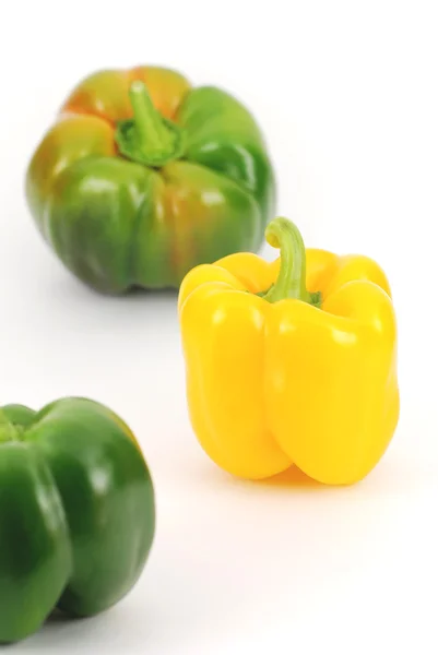 Padrão de pimentas frescas coloridas — Fotografia de Stock