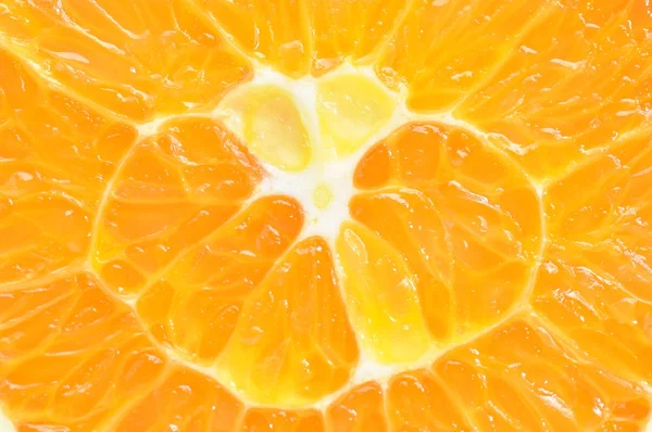 Макро природа помаранчевий фон — стокове фото