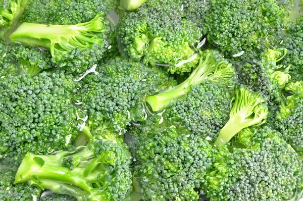 Fresh broccoli background — Stock Photo, Image