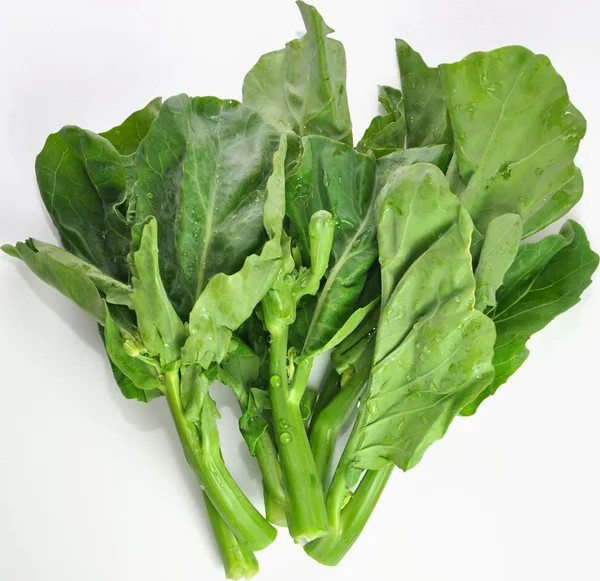 Närbild färska grönsaker — Stockfoto
