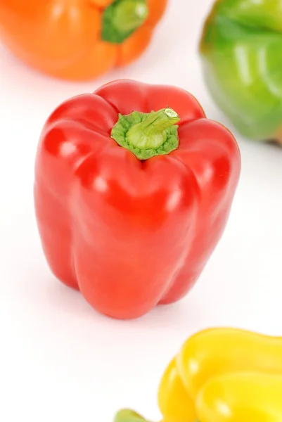 Colorful fresh peppers pattern — Stock Photo, Image