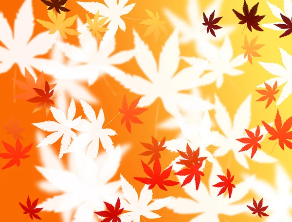 Abstract Nature maple leaf background — Stock Photo, Image