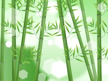 Abstract nature lucky bamboo background clipart