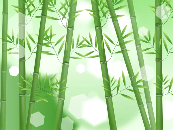 Absztrakt természet szerencsés bamboo háttér — Stock Fotó
