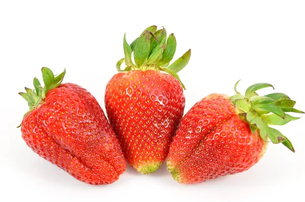 Patrón fresas frescas —  Fotos de Stock