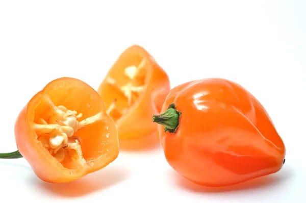 Isolated fresh hot pepper — Stock Photo, Image