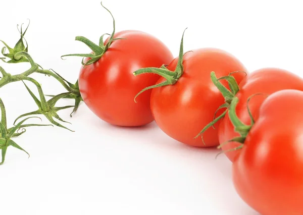 신선한 토마토 패턴 — 스톡 사진