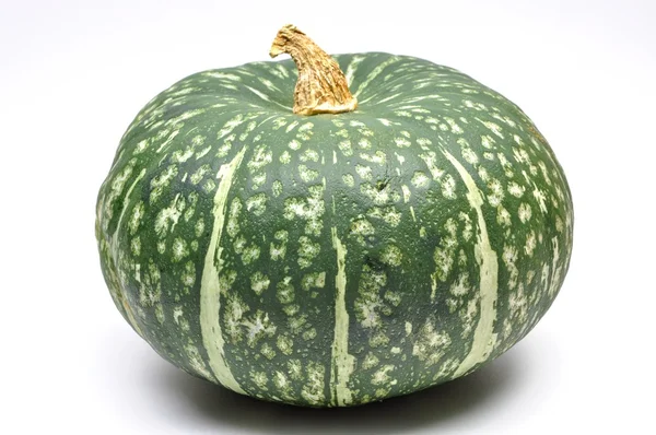 Isolated Japanese pumpkin — Stock Photo, Image
