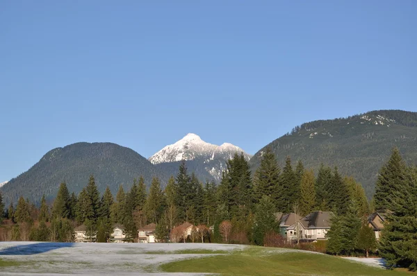 Vista da natureza com montanha de neve — Fotografia de Stock