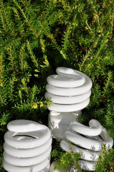 Close-up save energy bulb — Stock Photo, Image