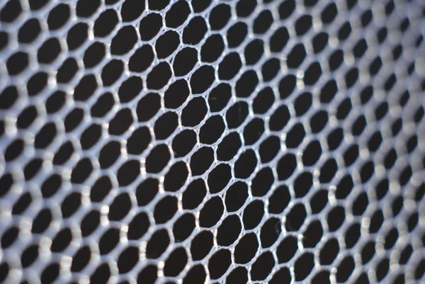 Mosquito net — Stock Photo, Image