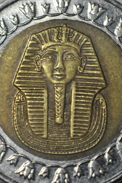 stock image One egyptian pound coin on white background