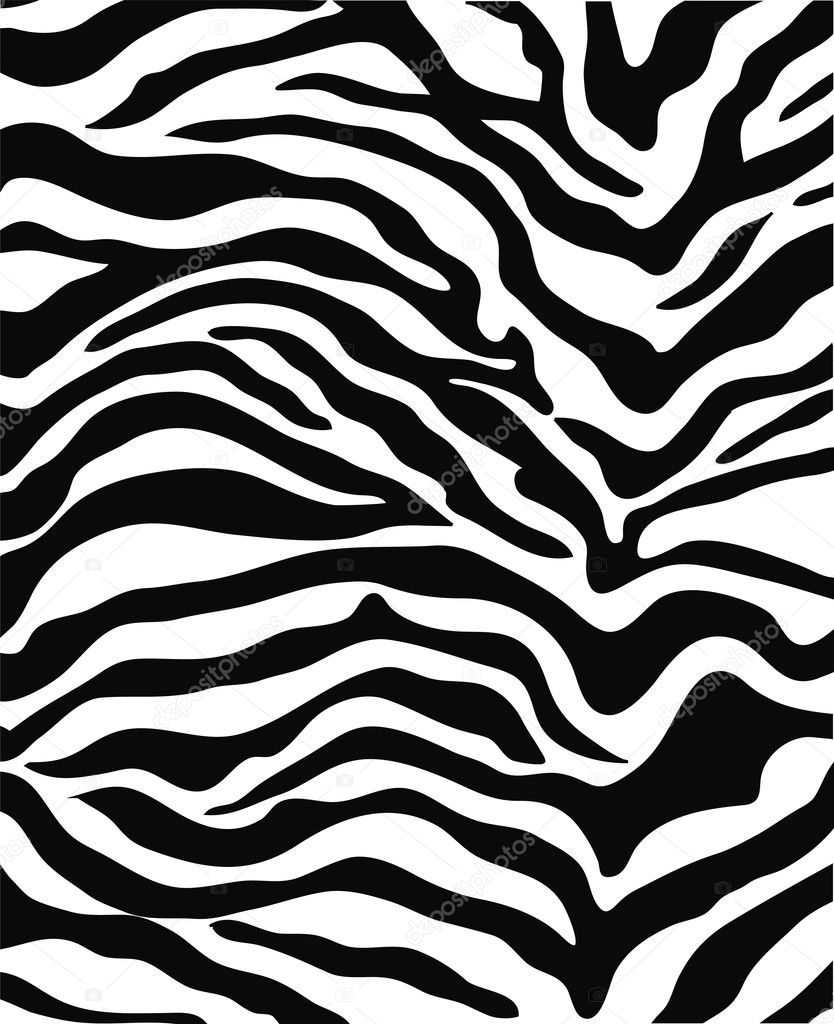 Zebra print Stock Photo by ©rudavin 5309217