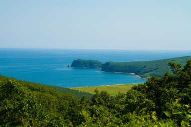 Bu bay cape aslan adlı Rusya'nın Uzakdoğu'olduğunu