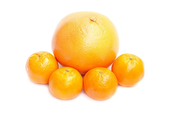 Feiertagsgrapefruit — Stockfoto
