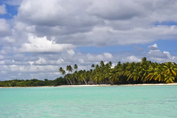 Голубая Дикая Лагуна Острова Саона — стоковое фото