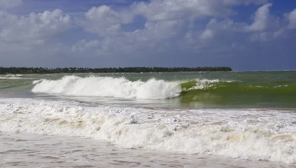 美丽的海洋波浪野生加勒比海滩附近 图库图片