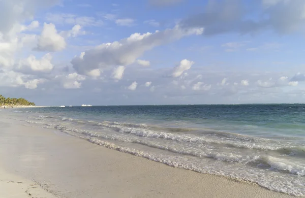 投标在加勒比海滩上冲浪 — 图库照片