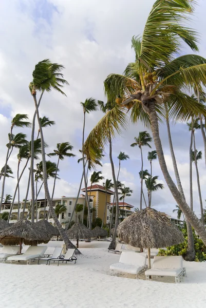 在上午的空海滩 多米尼加共和国 免版税图库照片