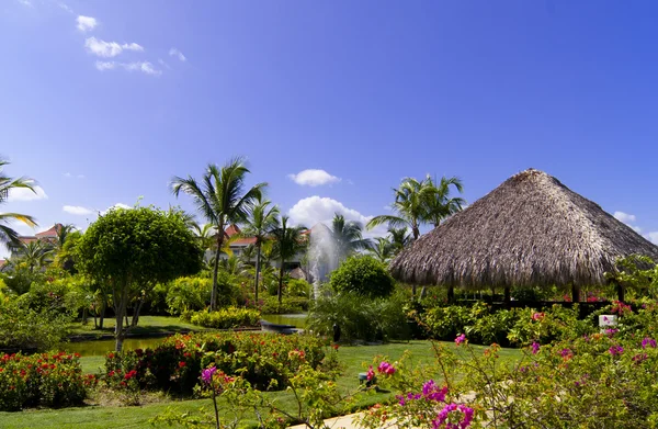 Il resort tropicale — Foto Stock