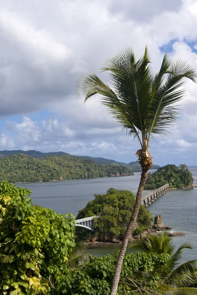 Ponte Sobre Baía Tropical Samana República Dominicana — Fotografia de Stock