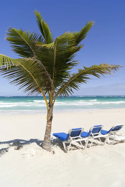 Relájese en la playa caribeña — Foto de Stock