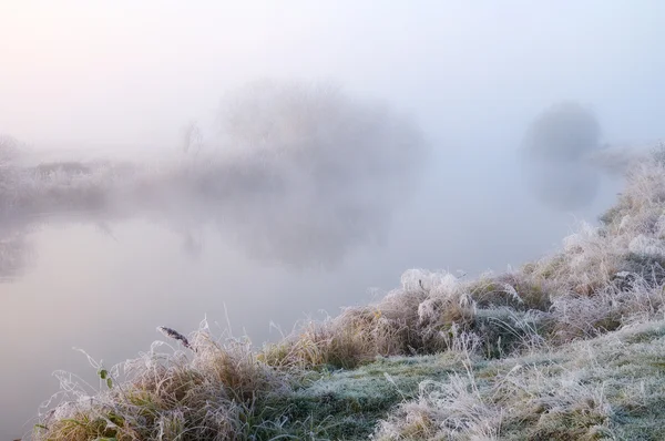 Sonbahar Frost — Stok fotoğraf