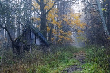 Small house in a foggy forest clipart