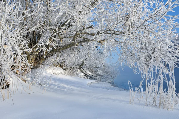 Зимний Пейзаж — стоковое фото
