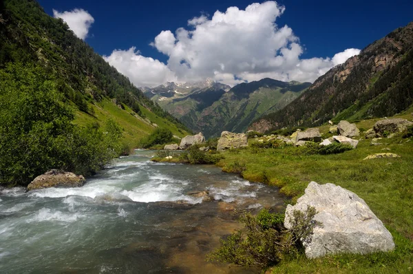 Dağ nehri